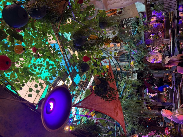 Oasis Cafe(オアシス カフェ)の店舗画像