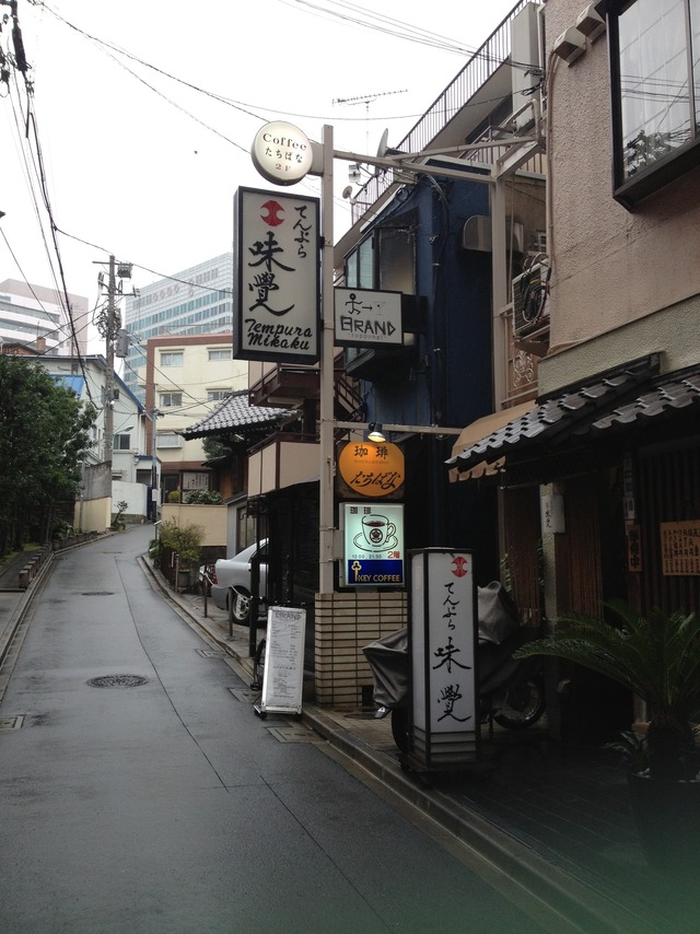 見て美しいというよりは、多種多様な食材を実験しながら料理。