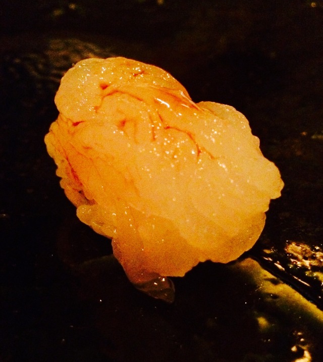 ARNECKの店舗画像
