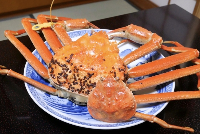 最高級の越前蟹を茹で蟹一本で勝負