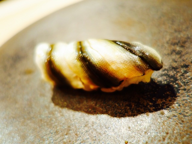 名店鳥しき譲りのうまさ。
