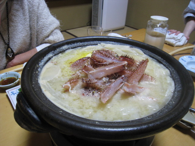 生涯最高のキントア豚。