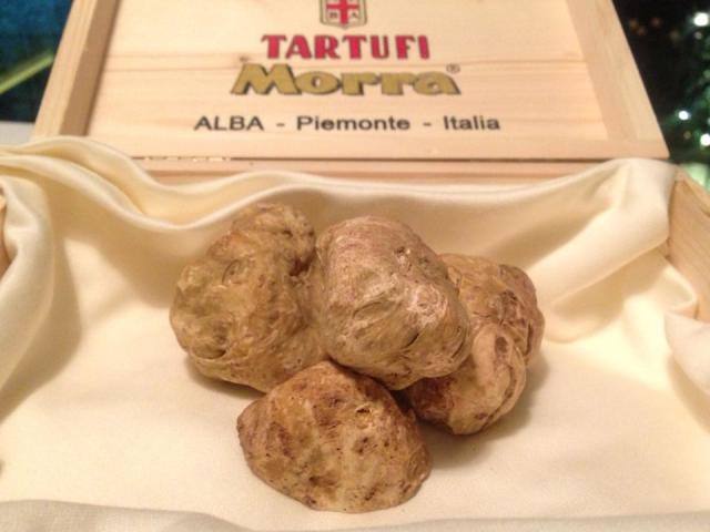 イタリアンジェラート チェルキオの店舗画像