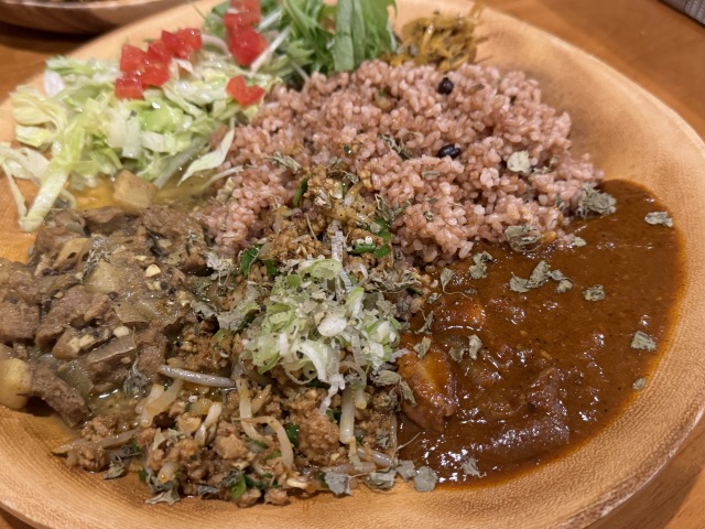 飯田で味わう本格スパイスカレー