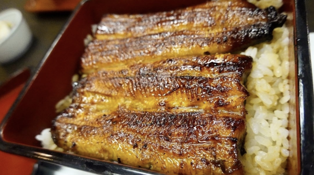 脂を感じさせない驚異の鰻
