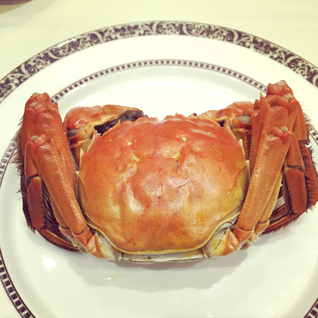 魚介と鶏のシンプルなスープに細めの麺に絡みつくラーメン