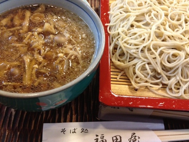 唐津の魚