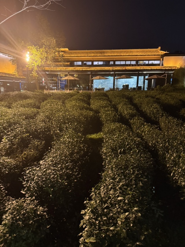 龍璟·餐厅の店舗画像