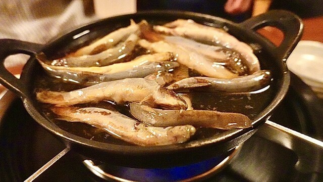 どぜう飯田屋の店舗画像