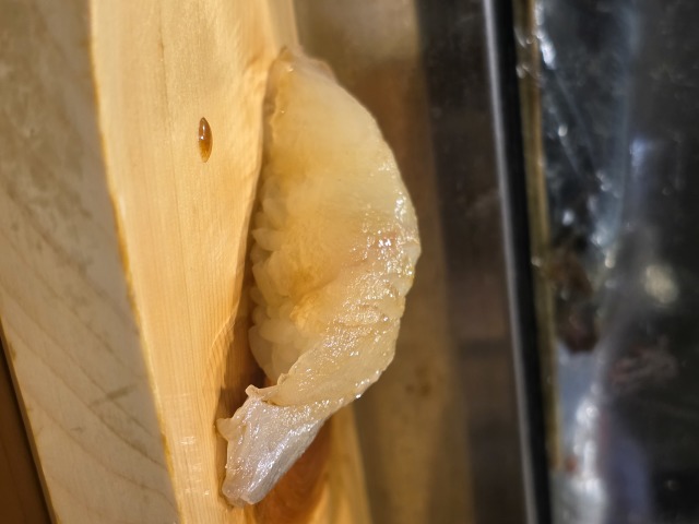 鮨居酒屋しゅんの店舗画像