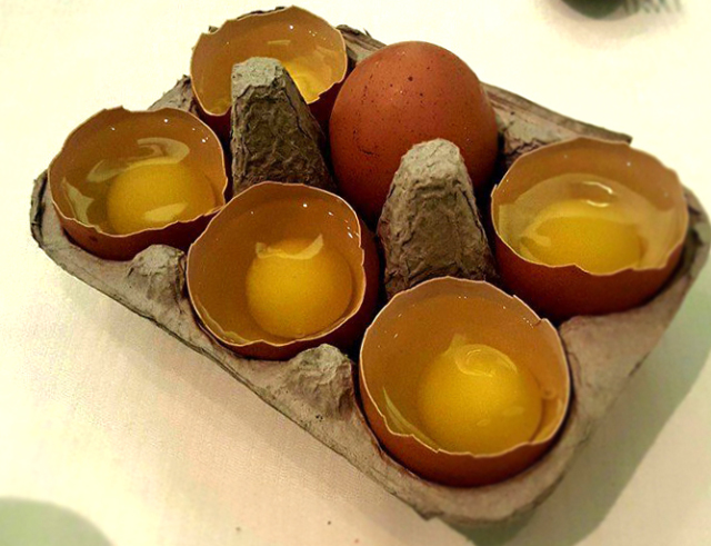 魚食屋れすとらん びび(レストランビビ)の店舗画像