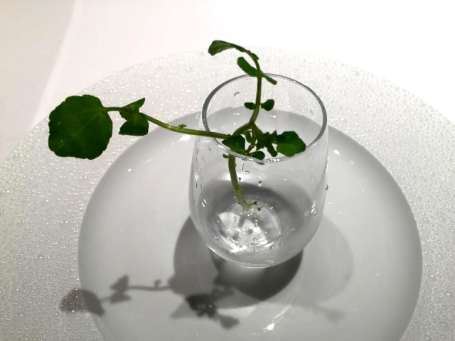 Islay mojito(アイラモヒート)の店舗画像