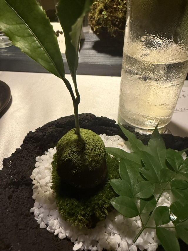 LOQUAT西伊豆 (ロクワット)の店舗画像