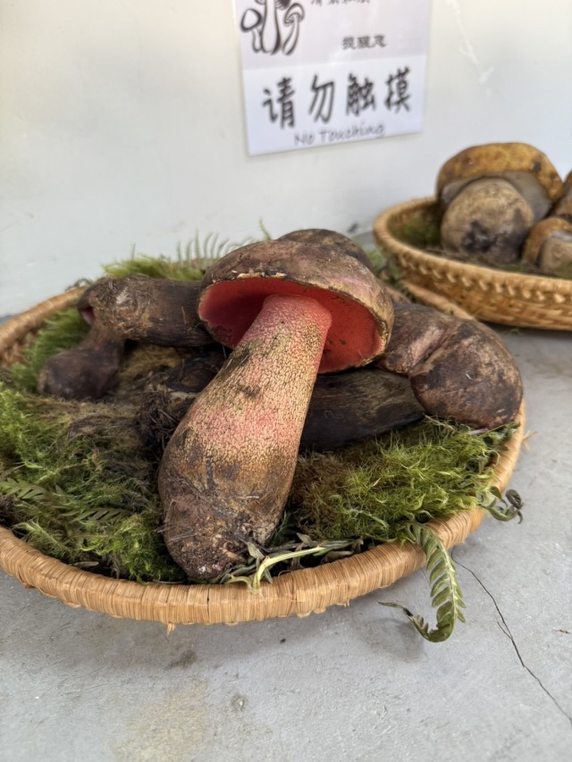 清宏私厨の店舗画像
