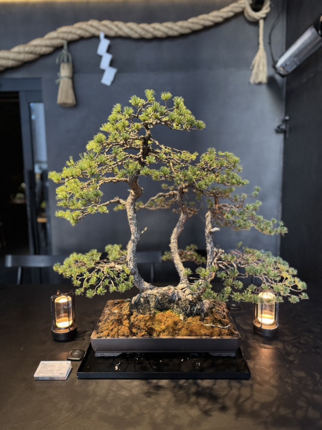 松葉屋茶寮の店舗画像