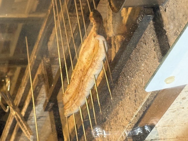 うなぎ仙人の店舗画像
