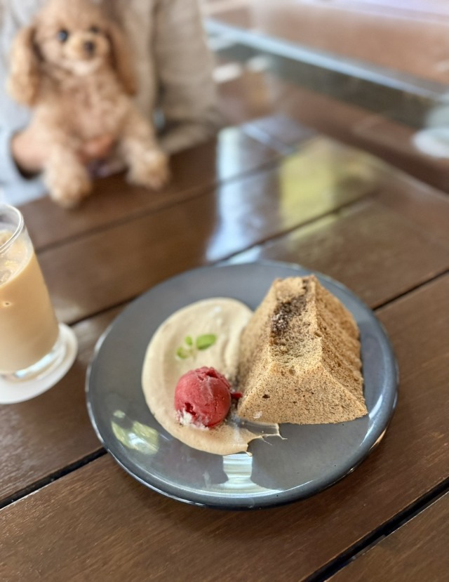 IVY PLACE(アイビープレイス)の店舗画像