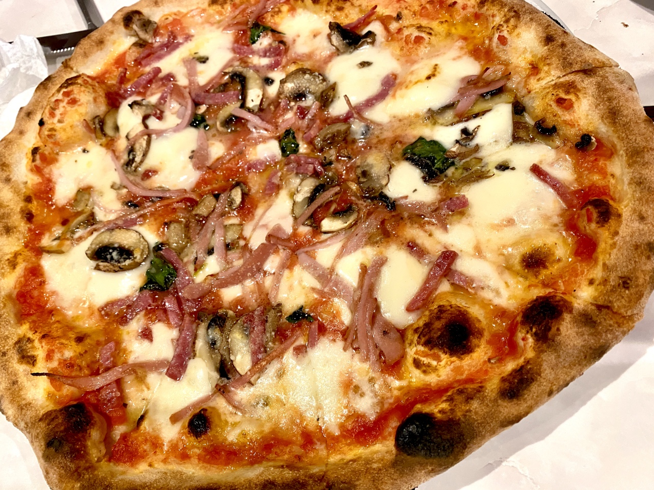 【兵庫グルメ】明石を代表する人気イタリアン！明石の食材をふんだんに使用した絶品イタリアンを堪能！【●●●】