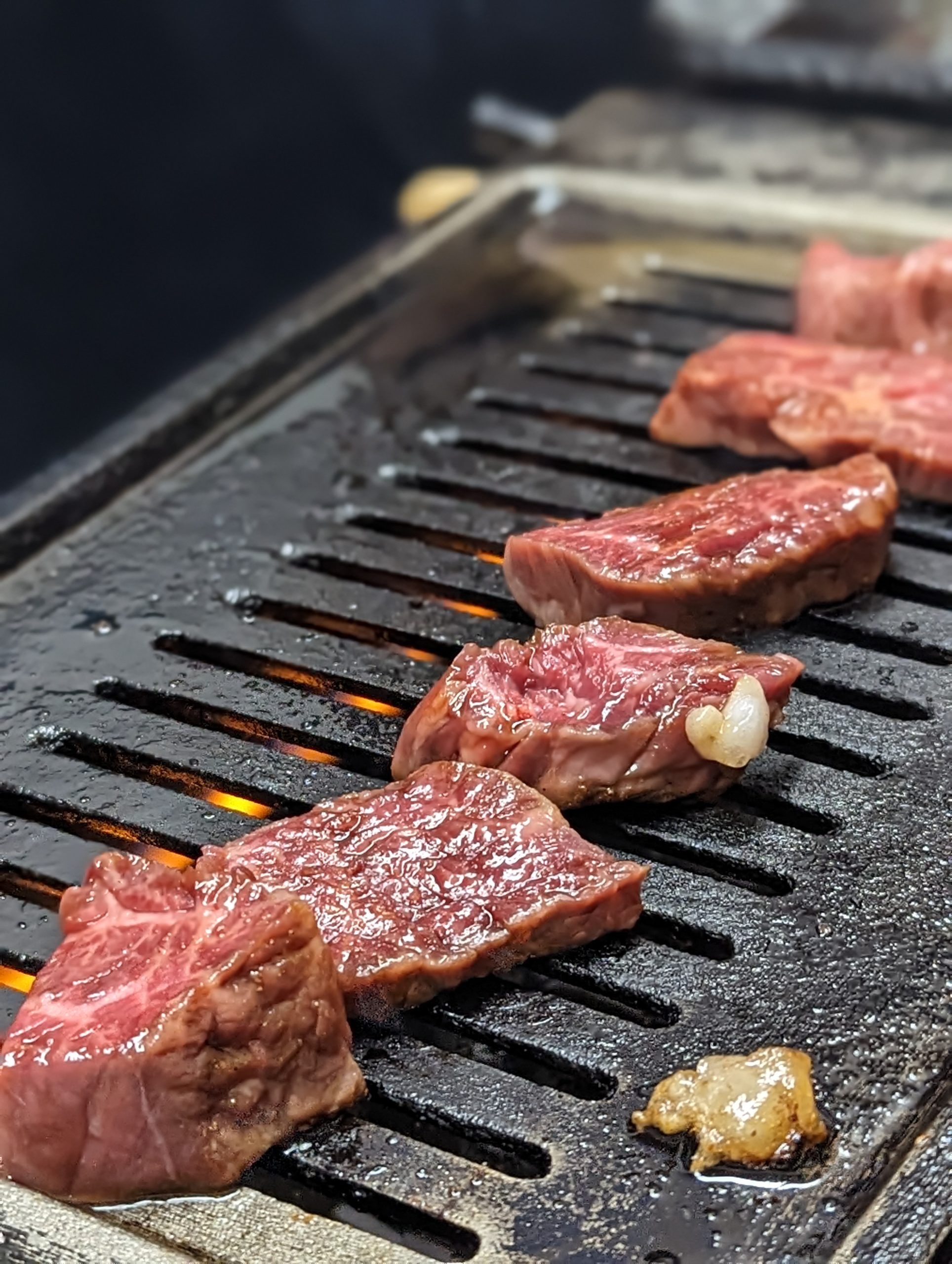 究極の焼肉体験：TERIYAKI美食倶楽部のオフ会で訪れた堺市の焼肉の名店「●●●」